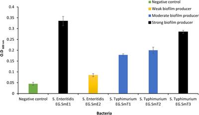 Application of a novel lytic Jerseyvirus phage LPSent1 for the biological control of the multidrug-resistant Salmonella Enteritidis in foods